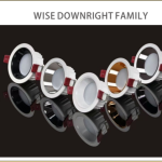 Wise 12W Downlight