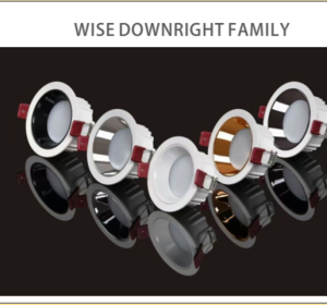 Wise 12W Downlight